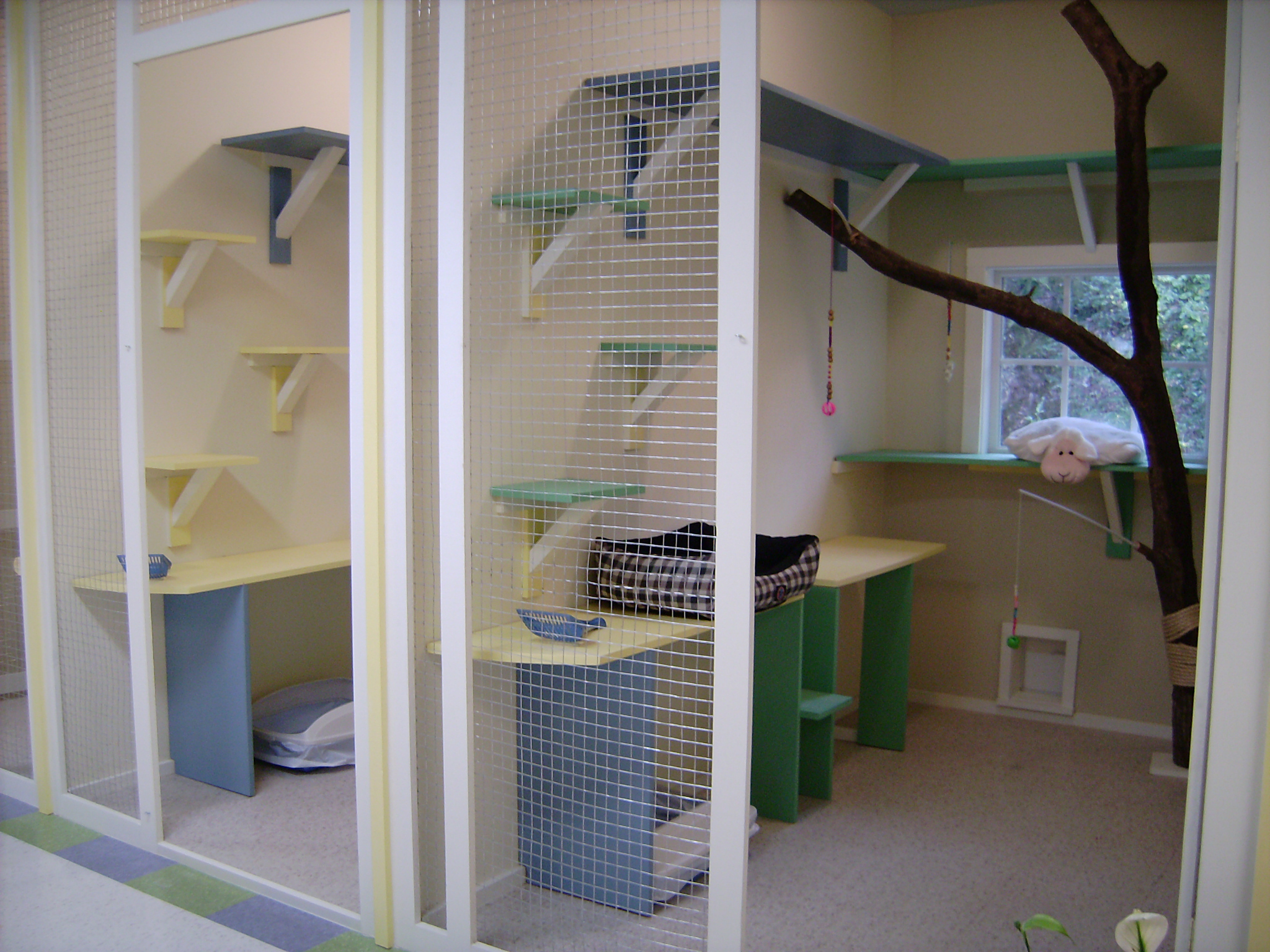 cat's cradle boarding cattery